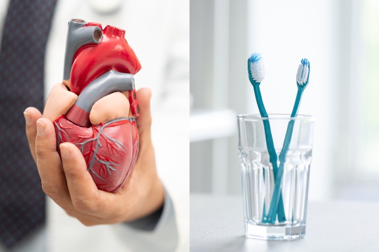 Lavarsi i denti può contrastare l'insorgere di malattie cardiovascolari