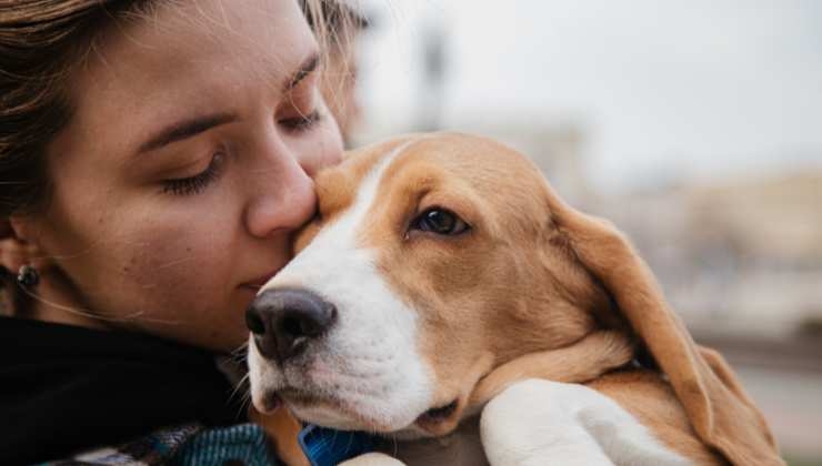 nomi più usati cani