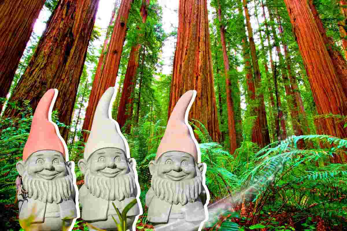 Dove si trovano le sequoie più alte del mondo