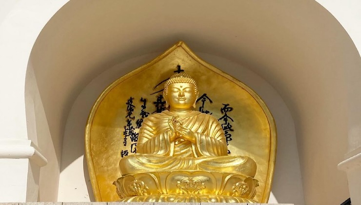 dettagli della Pagoda