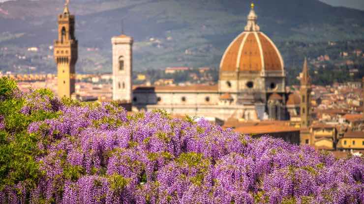 Città di Firenze