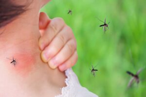 bambino circondato di zanzare
