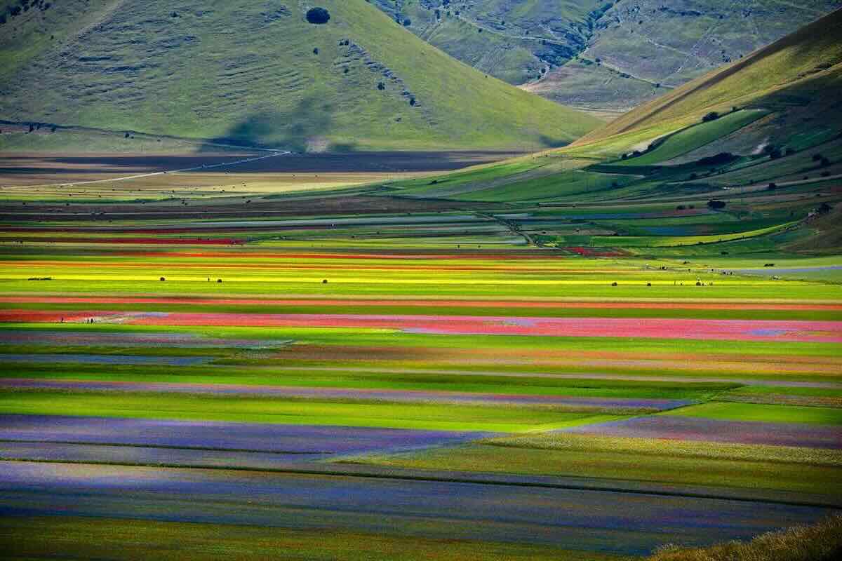 fioritura di castelluccio di norcia