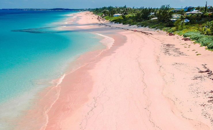 spiaggia rosa delle Bahamas