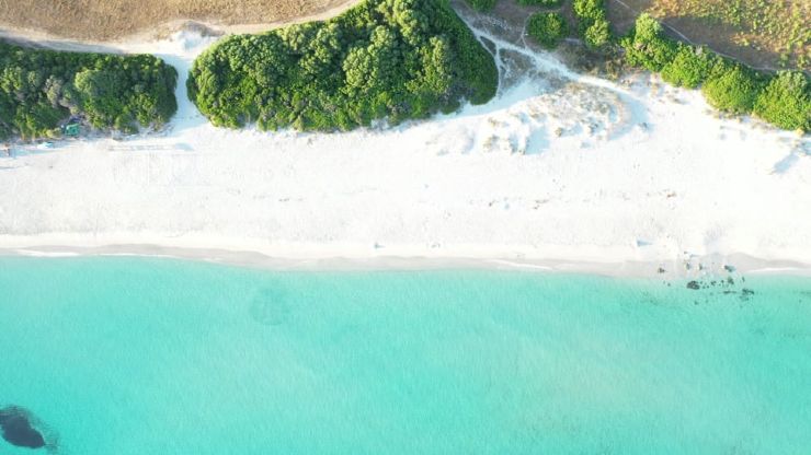 Spiaggia virale