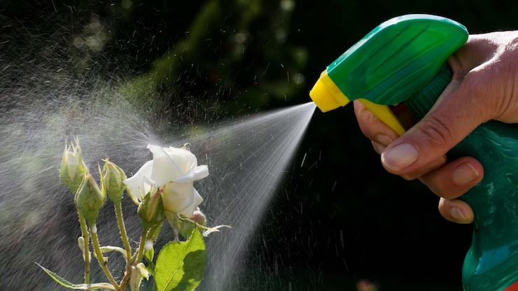 Spray da giardino