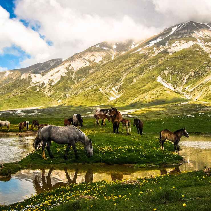 Campo Imperatore