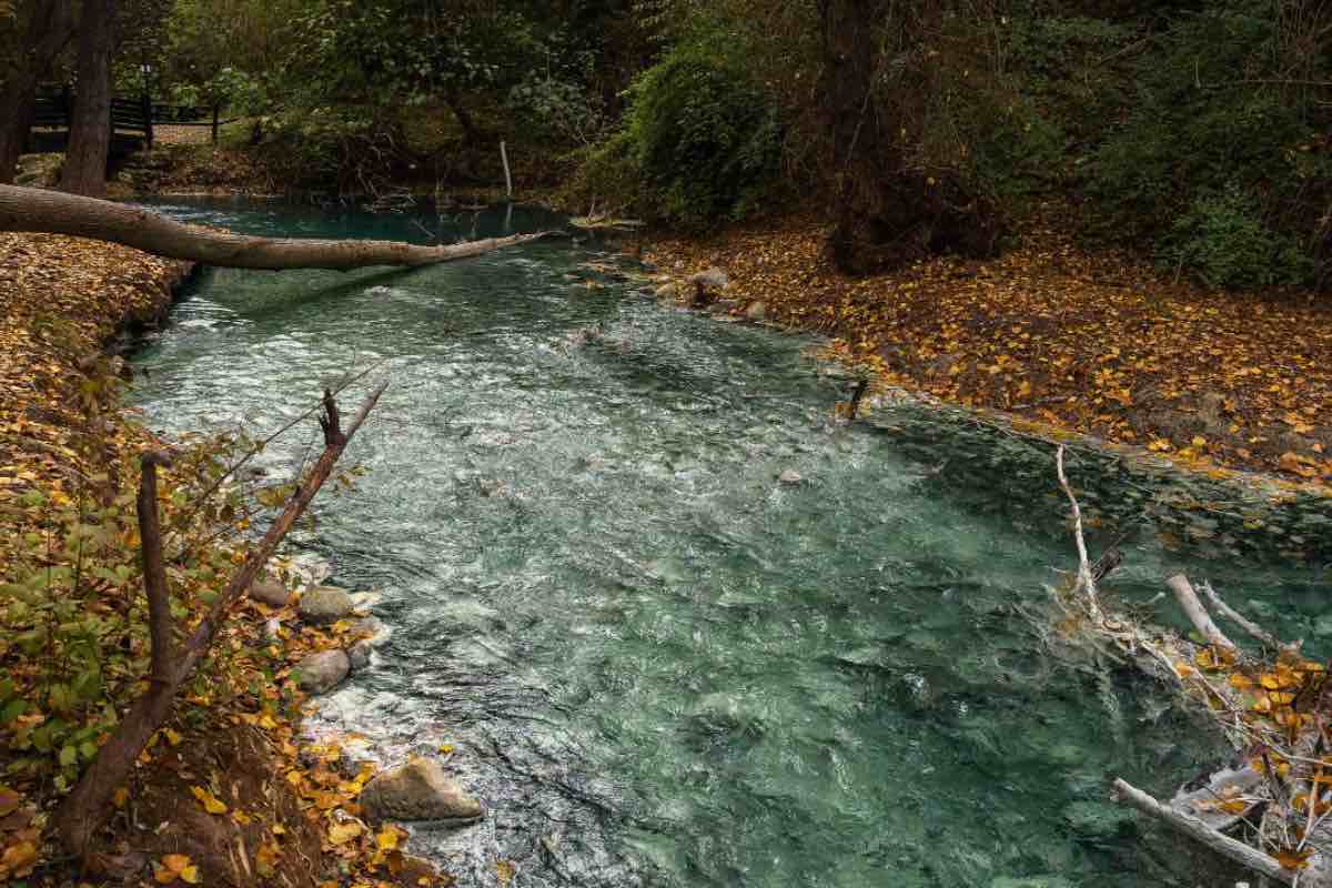 Fiume con acqua cristallina