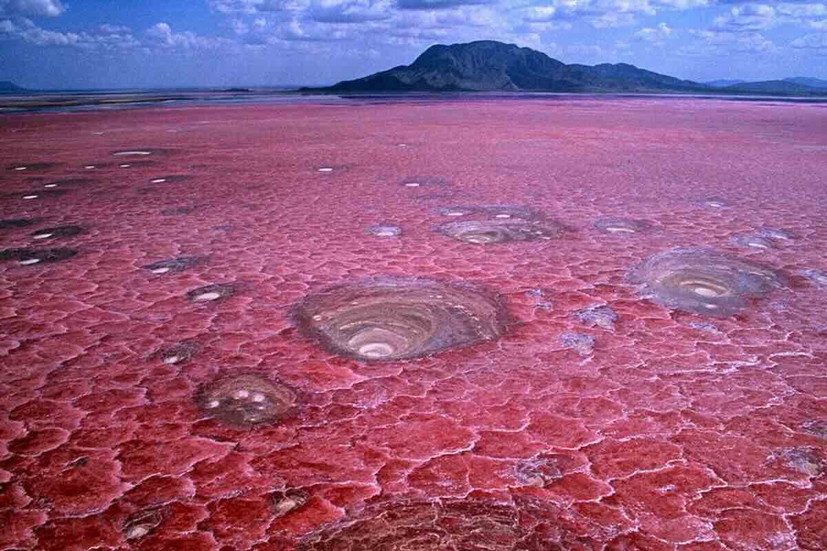 Lago di Natron