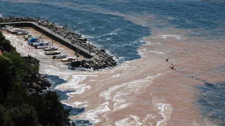 Mucillagine nel mare italiano