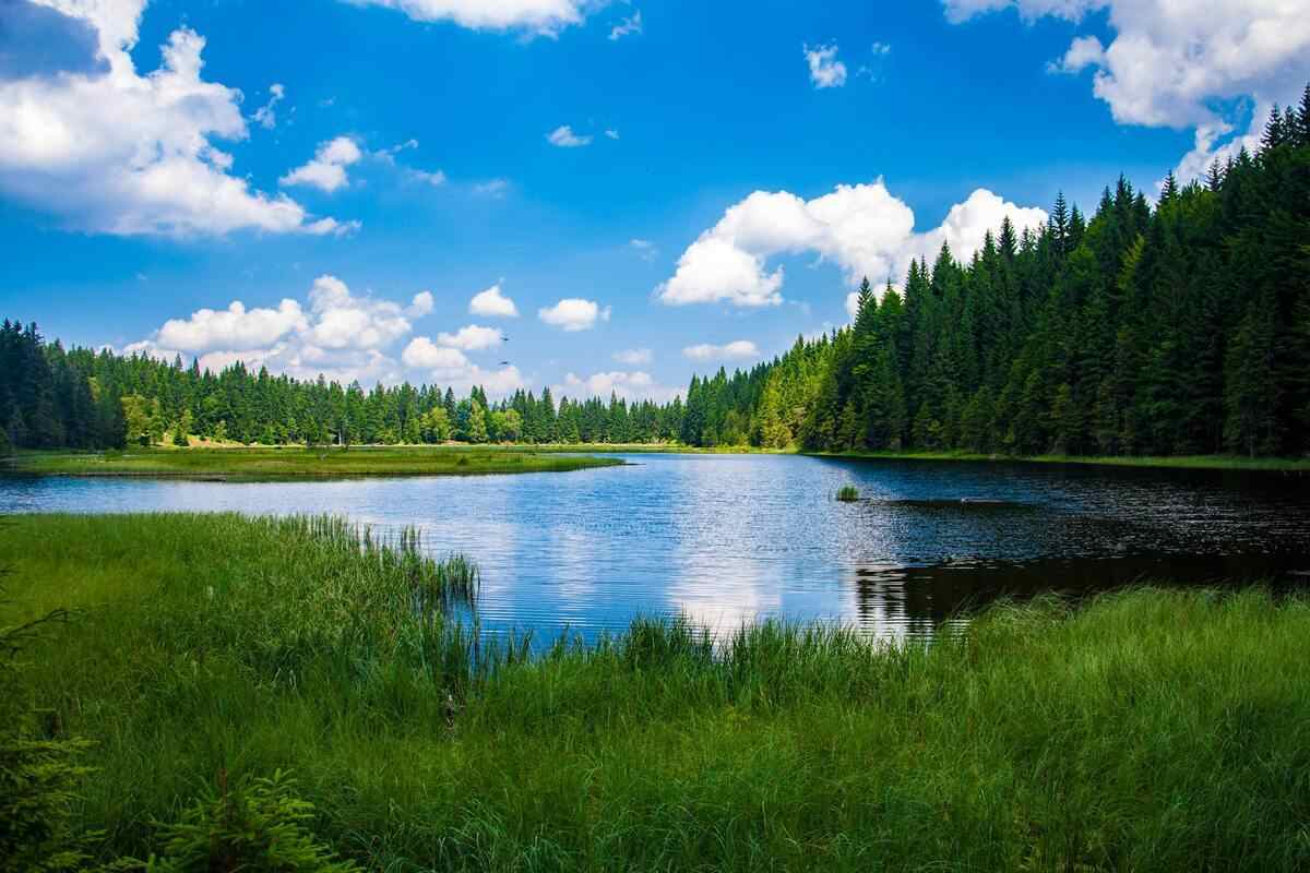 Oasi naturale nel Lazio