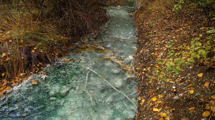 Parco Naturale delle Sorgenti del Lavino