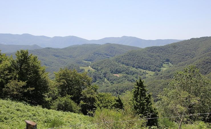 Parco delle foreste casentinesi