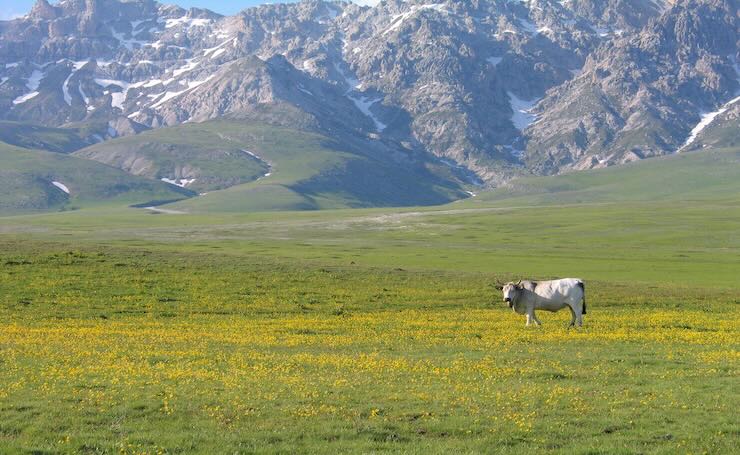 Parco nazionale d'Abruzzo