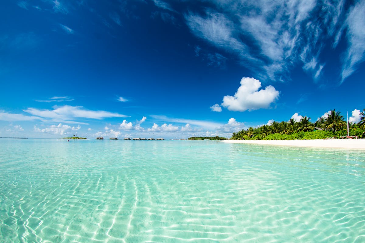 Perché scegliamo le vacanze al mare