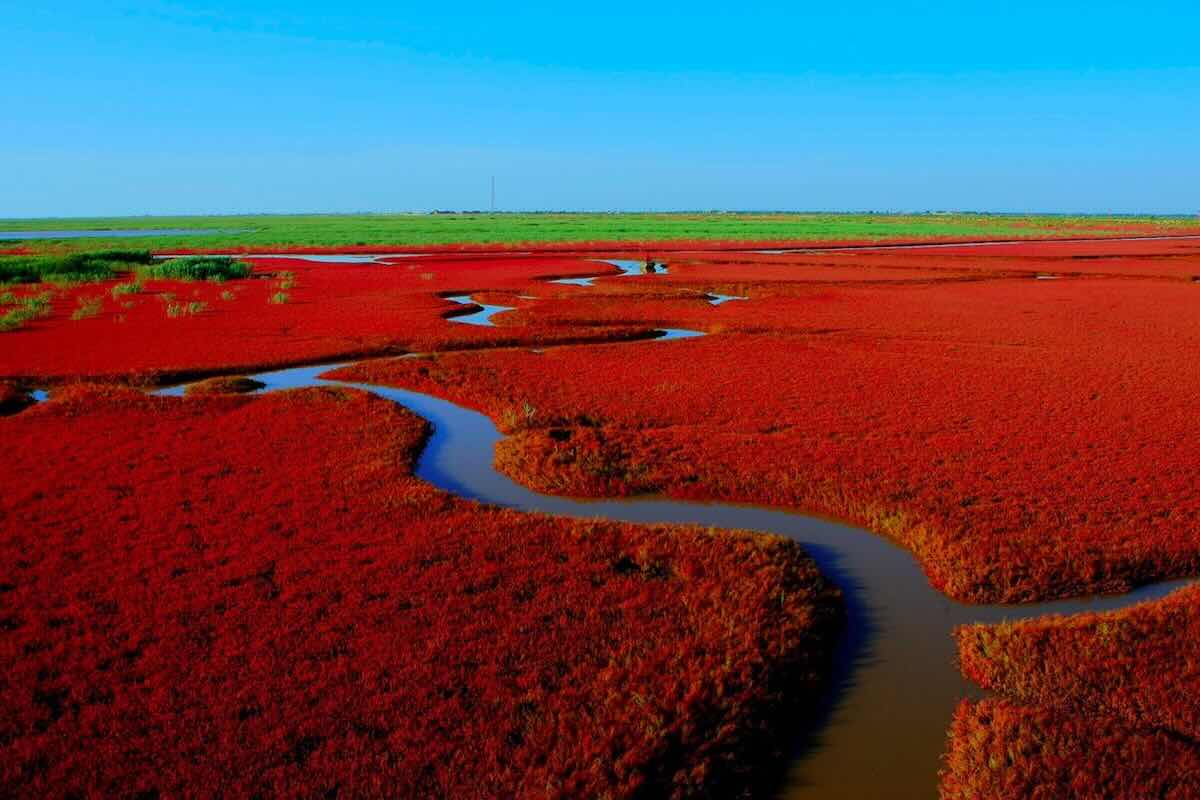 Red beach