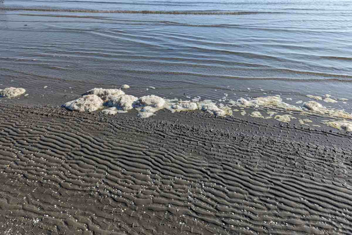 Schiuma bianca in mare