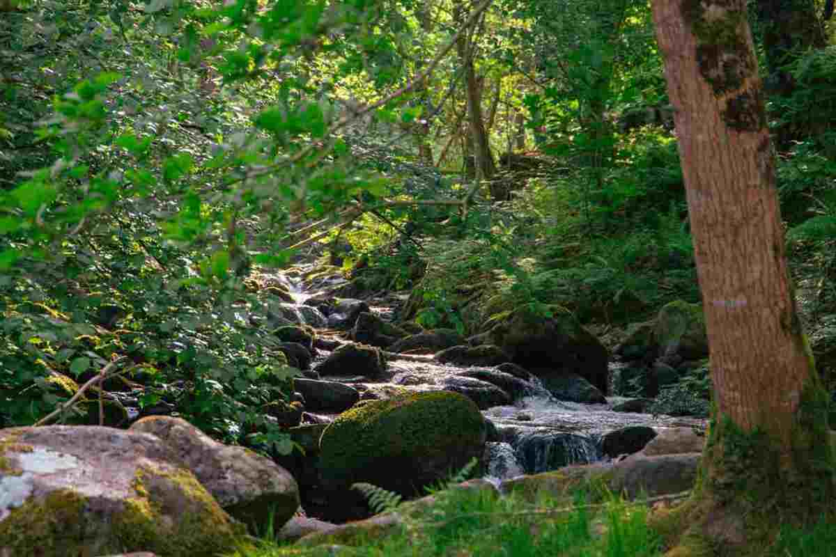 Cascata sconosciuta