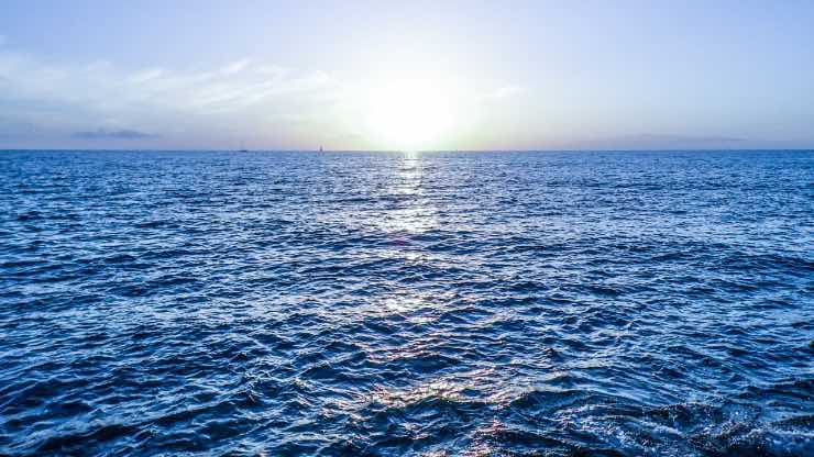 Acqua del mare caldo