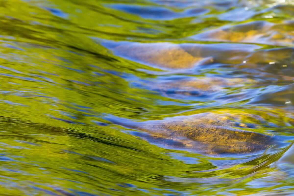 Acqua di un fiume che scorre