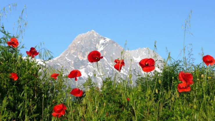 Cammino in Abruzzo