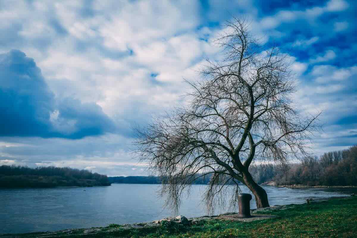 Danubio