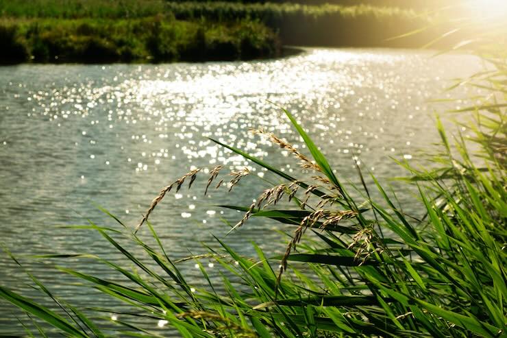 Fiume al tramonto