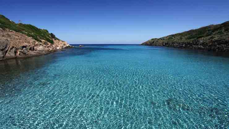 Isola Asinara