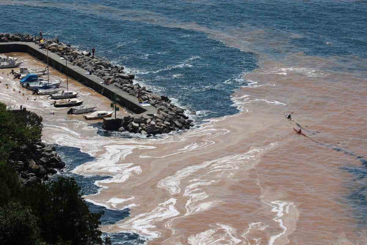 Mare italiano coperto da chiazze bianche