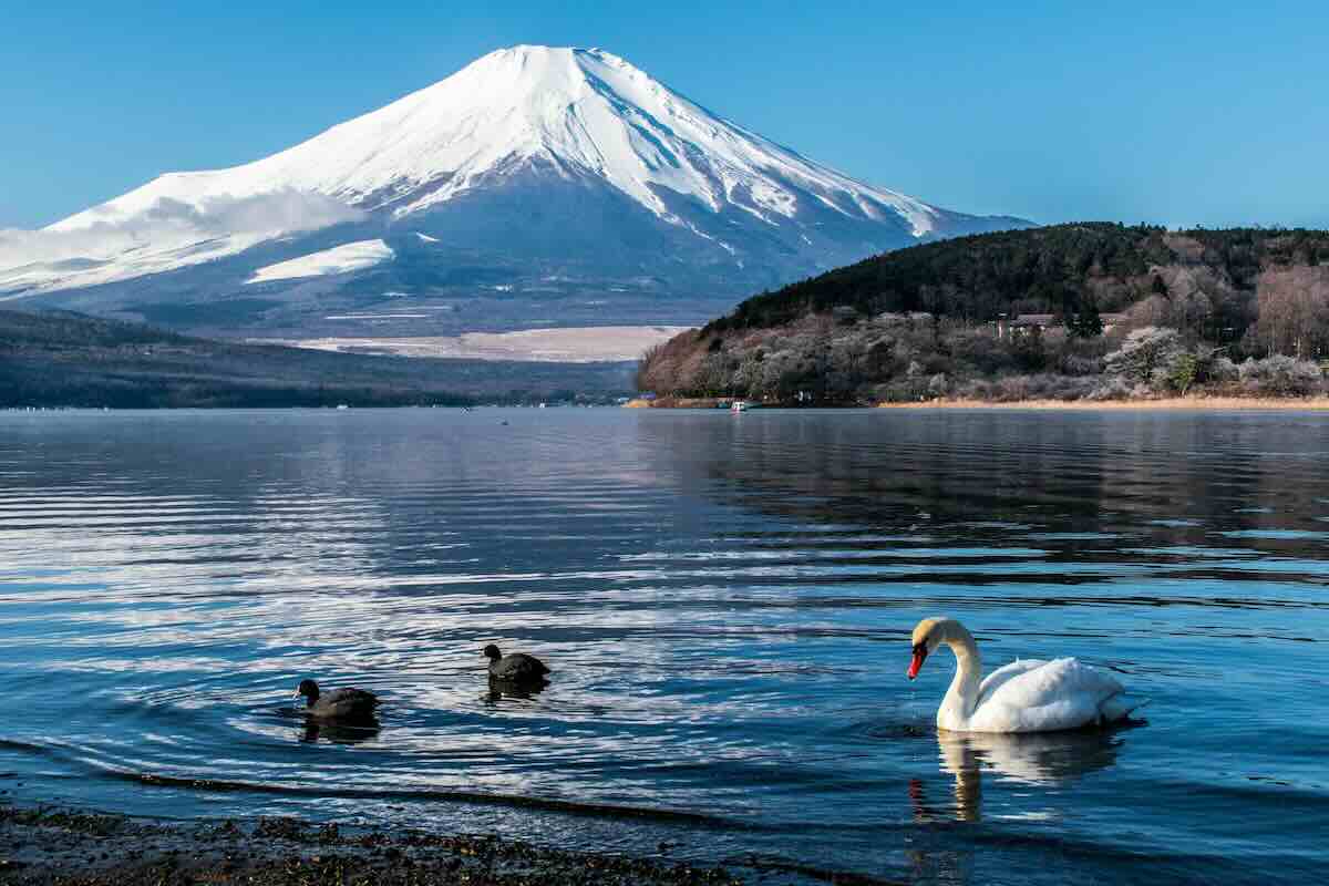 Monte Fuji e lago