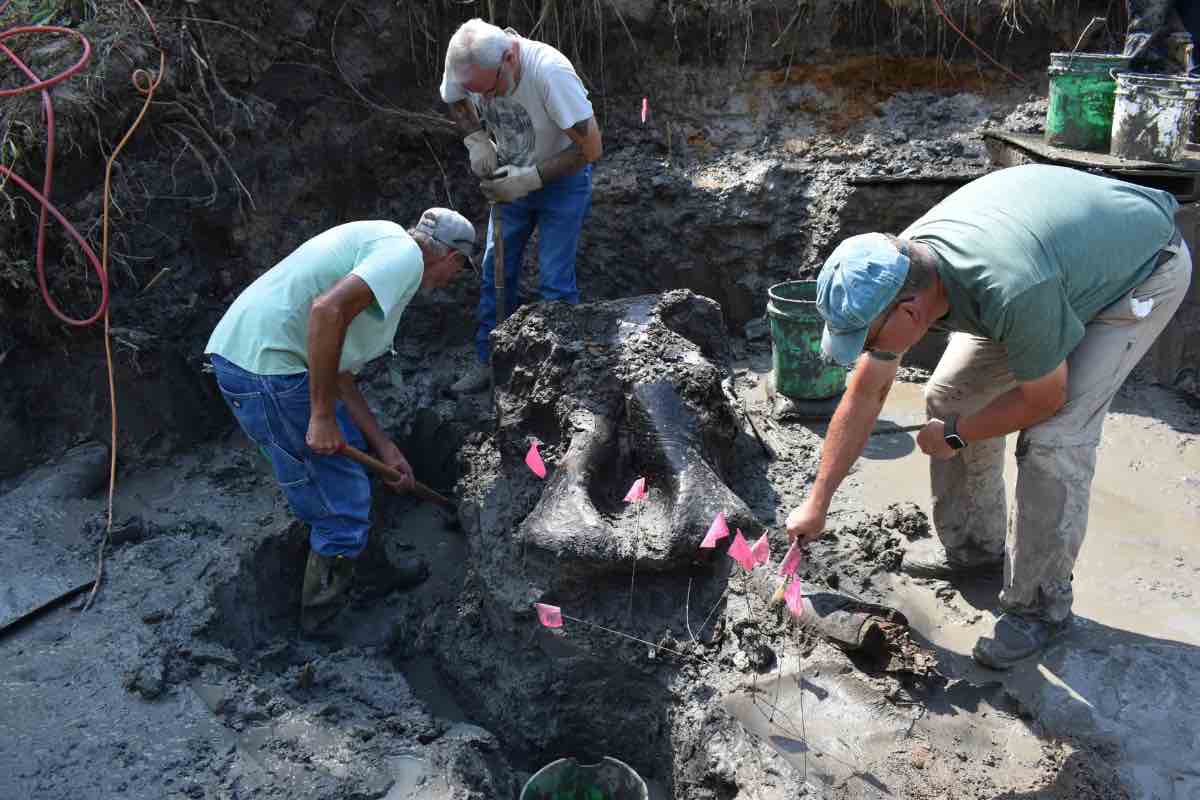 Nuove rivelazioni su Pompei