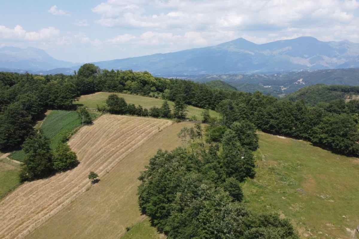 Nuovo cammino in Italia