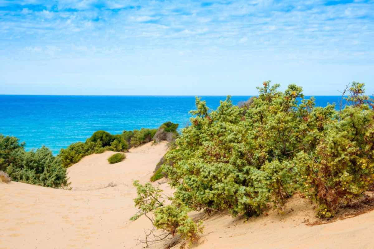 Paradiso ricco di natura e spiagge