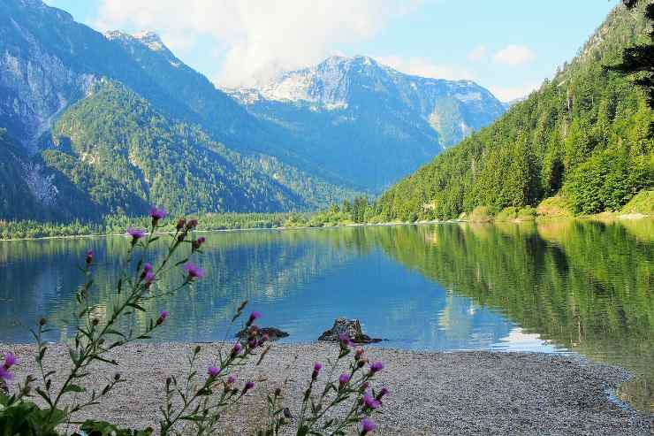 Parco naturale bello