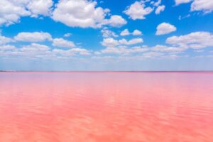 Lago completamente rosa