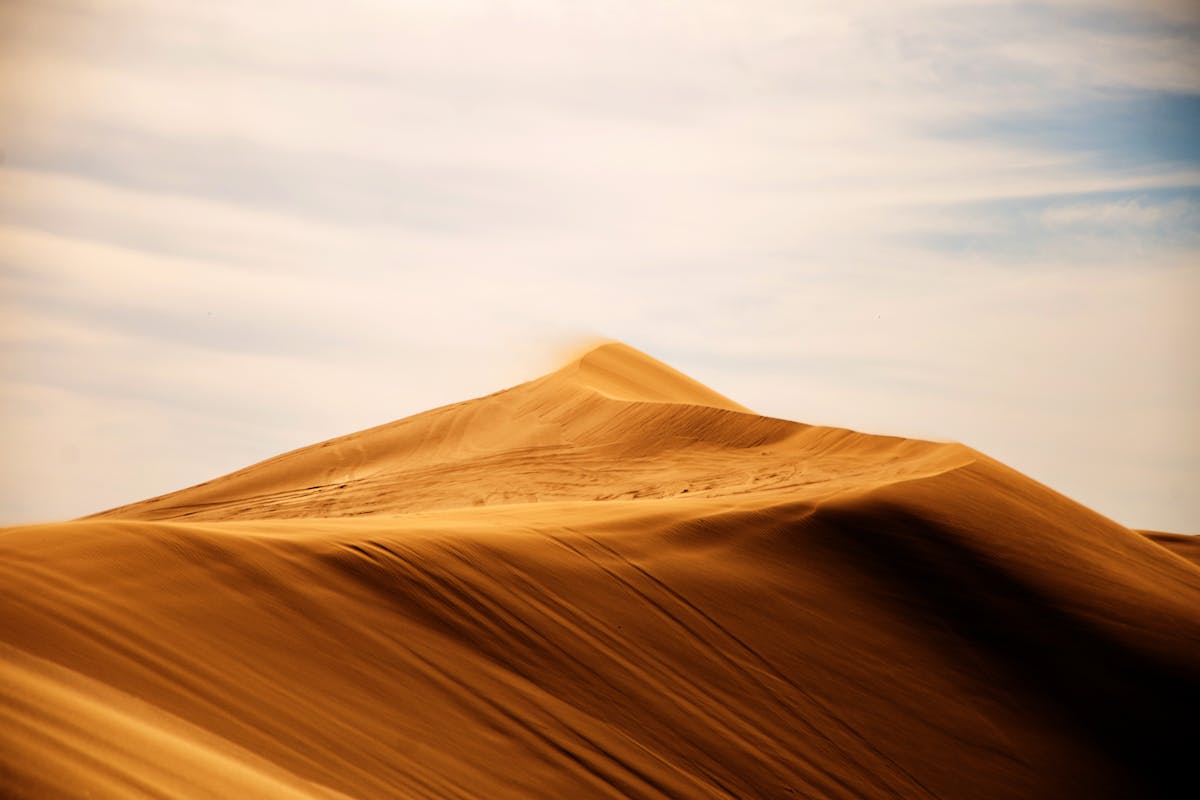 Un deserto sta diventando verde